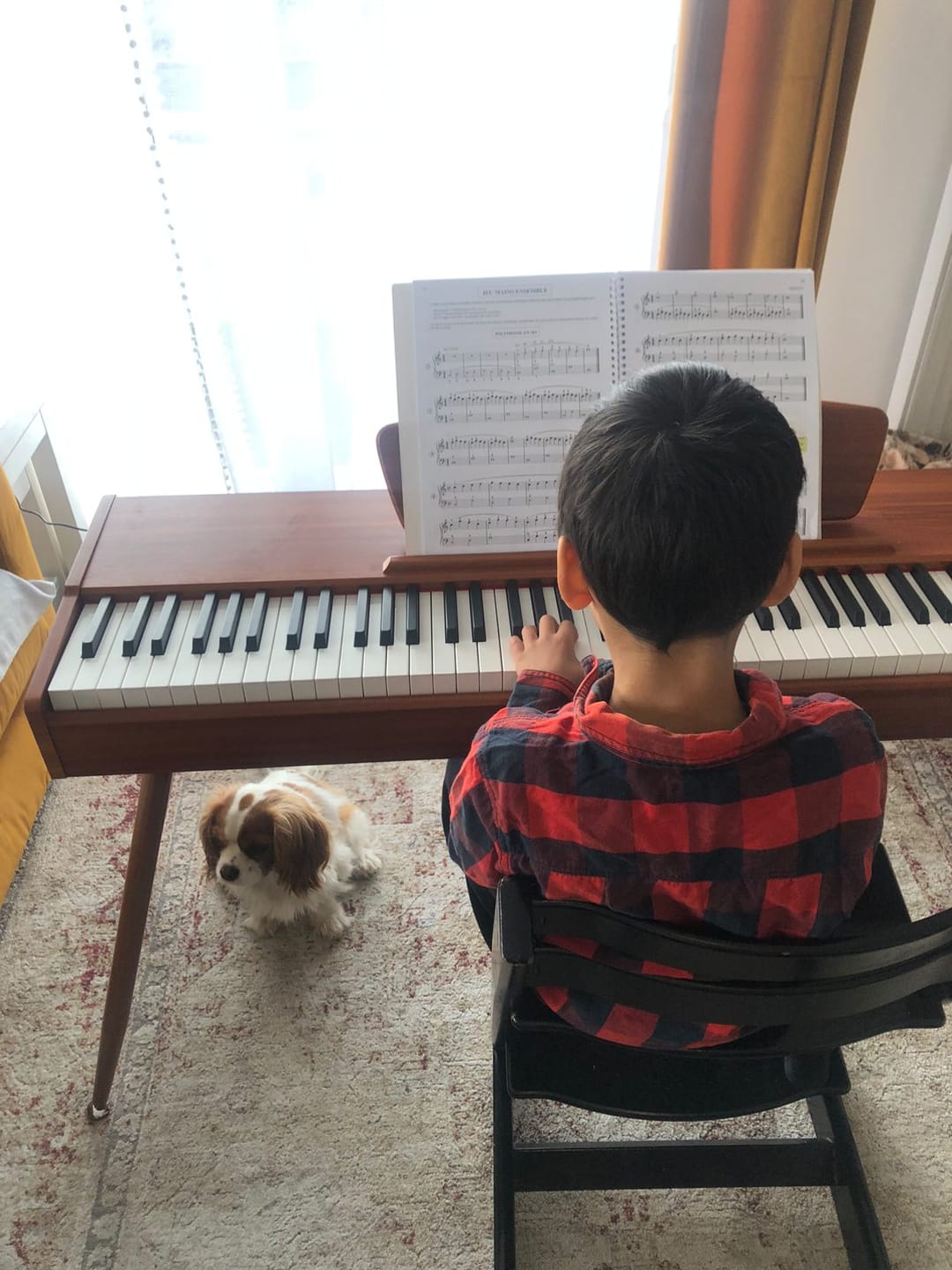 Customer photo review of Donner DDP-80 Motif de Bois Piano Numérique