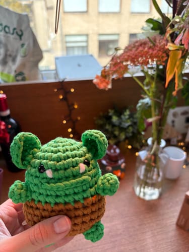 Customer photo review of Mini Crafts™ Learn-To-Crochet Kits