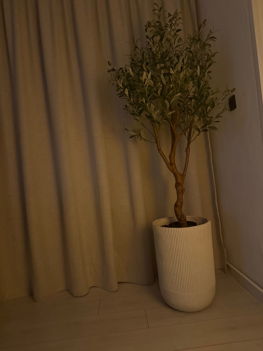 Customer photo review of Kunst Olijfboom 150cm