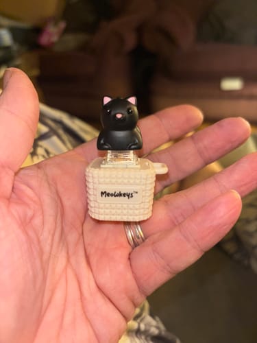 Customer photo review of Meowkey - Fidget Toy that Meows!