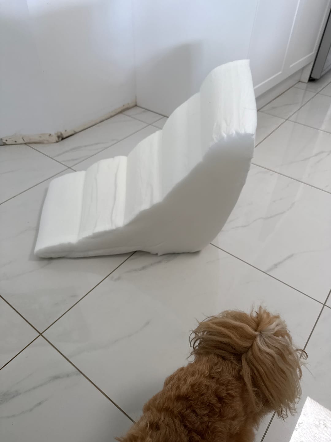 Customer photo review of Soft Foam Dog Stairs – Non-Slip Dog Steps for Beds & Couches