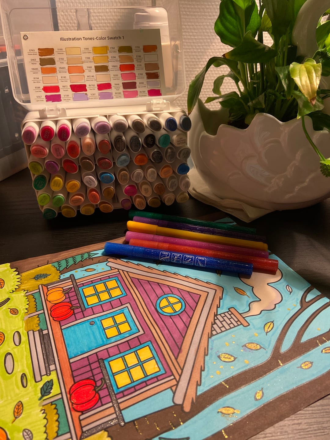 Customer photo review of Ohuhu Kaala Dual Tips Alcohol Art Markers- 60 Colors Illustrations