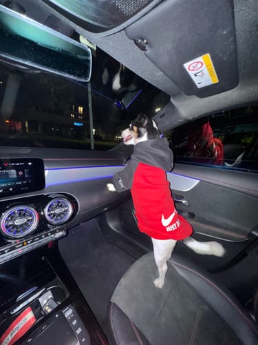 Customer photo review of Sweet Paw Hoodie