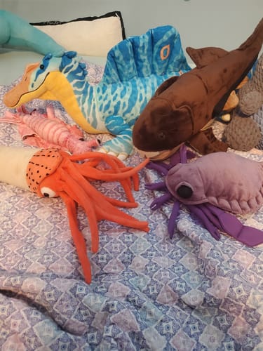 Customer photo review of Dunkleosteus Prehistoric Predator Plush – Soft, Realistic, and Perfect for Science Enthusiasts