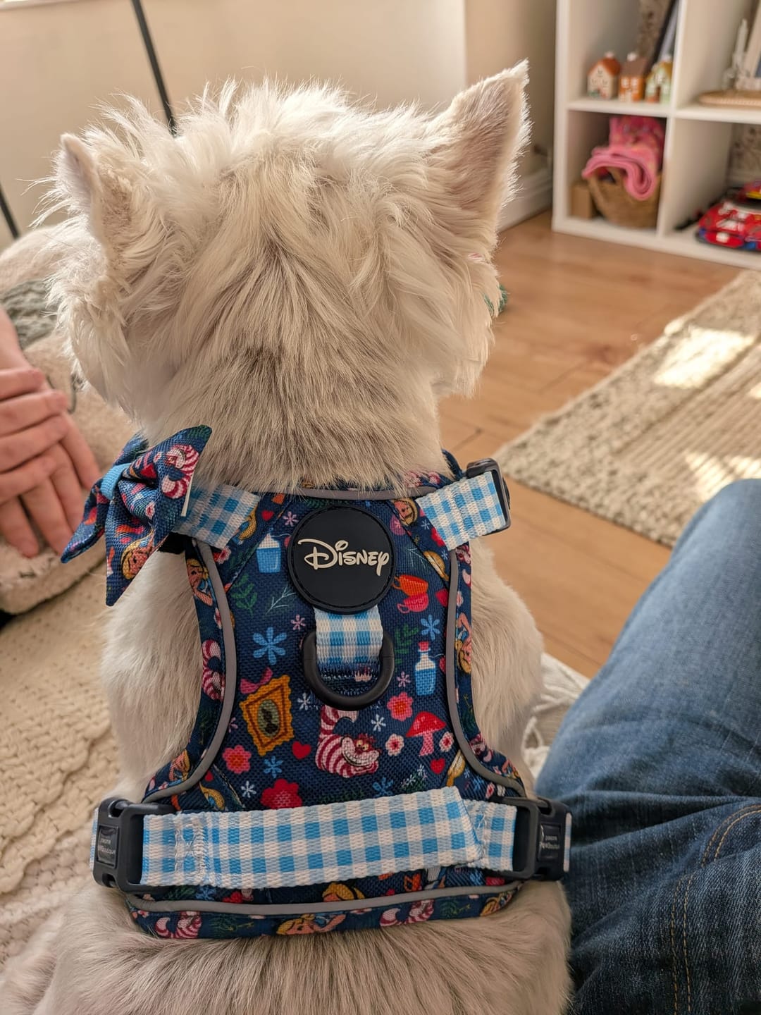 Customer photo review of Disney© Tough Trails™ Harness - Alice In Wonderland