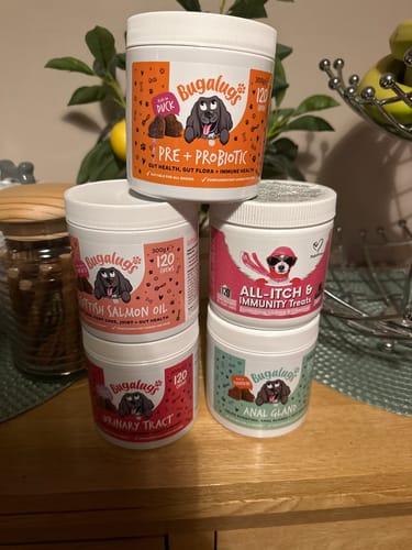 Customer photo review of Pre & Probiotic Supplement Chews for Dogs