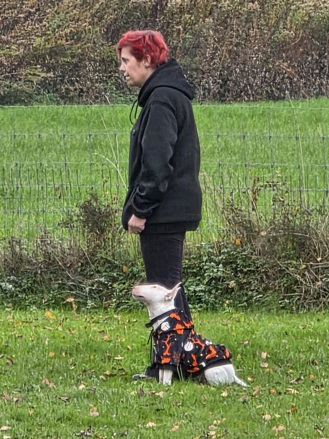 Customer photo review of Halloween Dog Hoodies (Limited Edition)