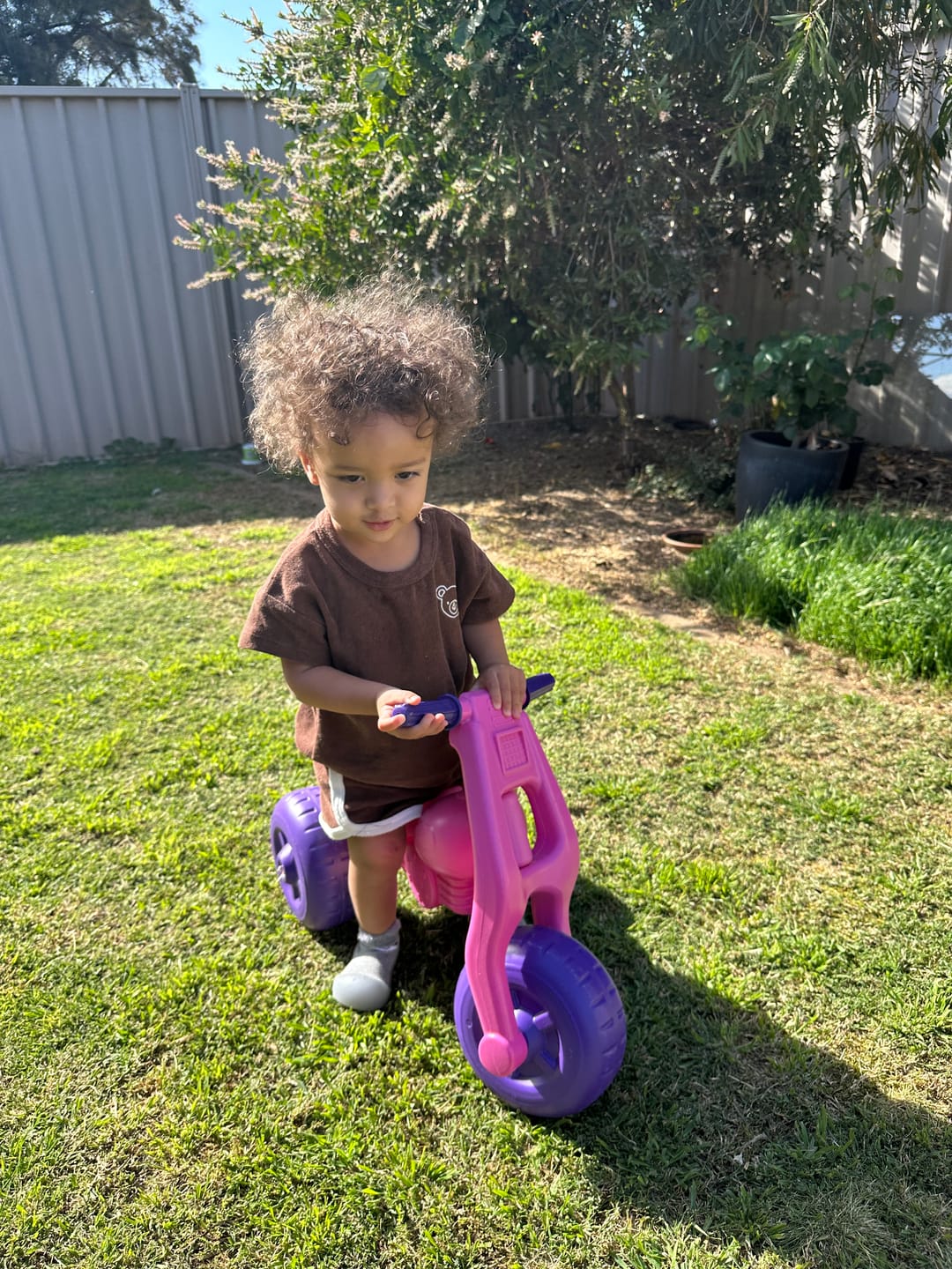 Customer photo review of Grey Bear