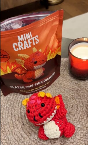 Customer photo review of Mini Crafts™ Learn-To-Crochet Kits