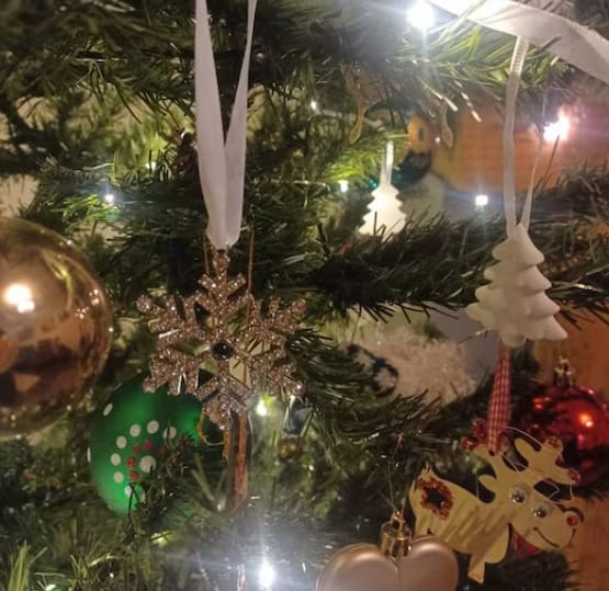 Customer photo review of Custom Photo Projection Ornament, For Christmas, Family Decor