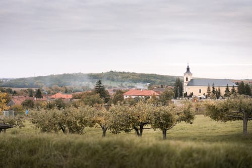 Customer photo review of FAMILY FUN LIGHTROOM PRESETS