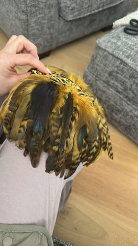 Customer photo review of Chinchilla Feather Fringe 12cm x 10cm - FR003