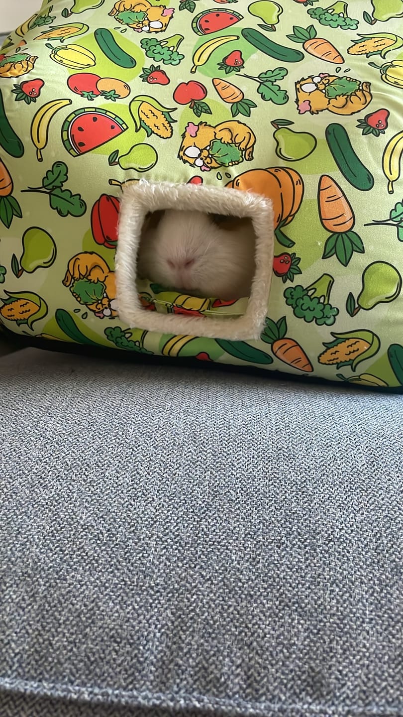 Customer photo review of Cosy Cottage