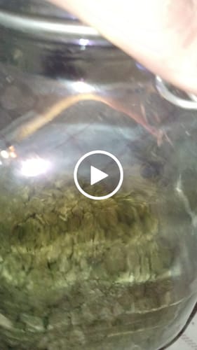 Customer video review of Bulk Mixlight Smalls