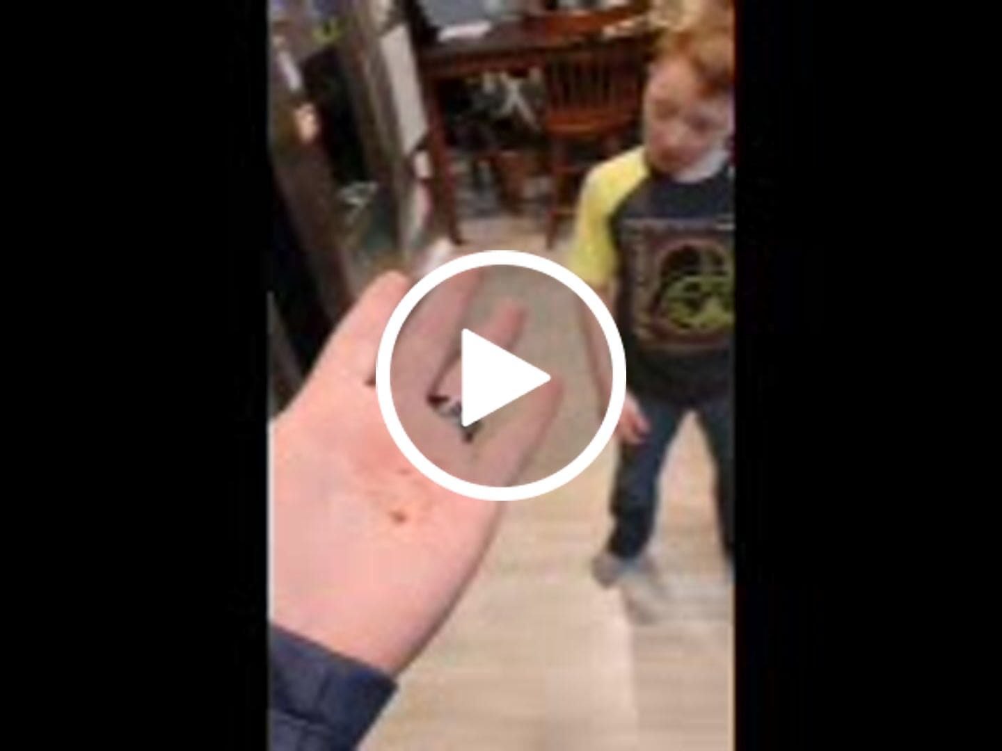 Customer video review of Carolina Reaper Peppers