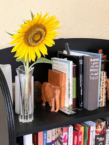 Customer photo review of Sexy Time