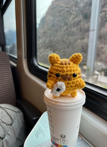 Customer photo review of Mini Crafts™ Learn-To-Crochet Kits