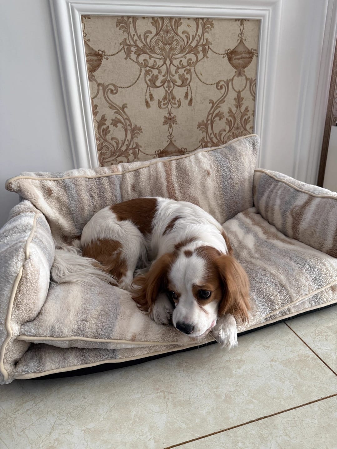 Customer photo review of Beige & Brown Striped Faux Lambswool Pet Sofa Bed