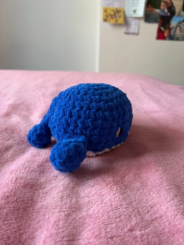 Customer photo review of Alize Velluto