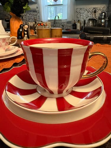 Customer photo review of Red Carousel Stripes Fine Porcelain Cup and Saucer - 10oz