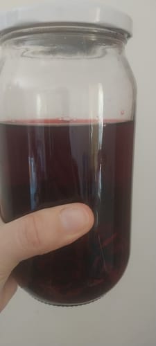 Customer photo review of Rosa Jamaica - Hibisco / Flor ⁽ᵃˡᵗᵃ ᶜᵃˡⁱᵈᵃᵈ⁾