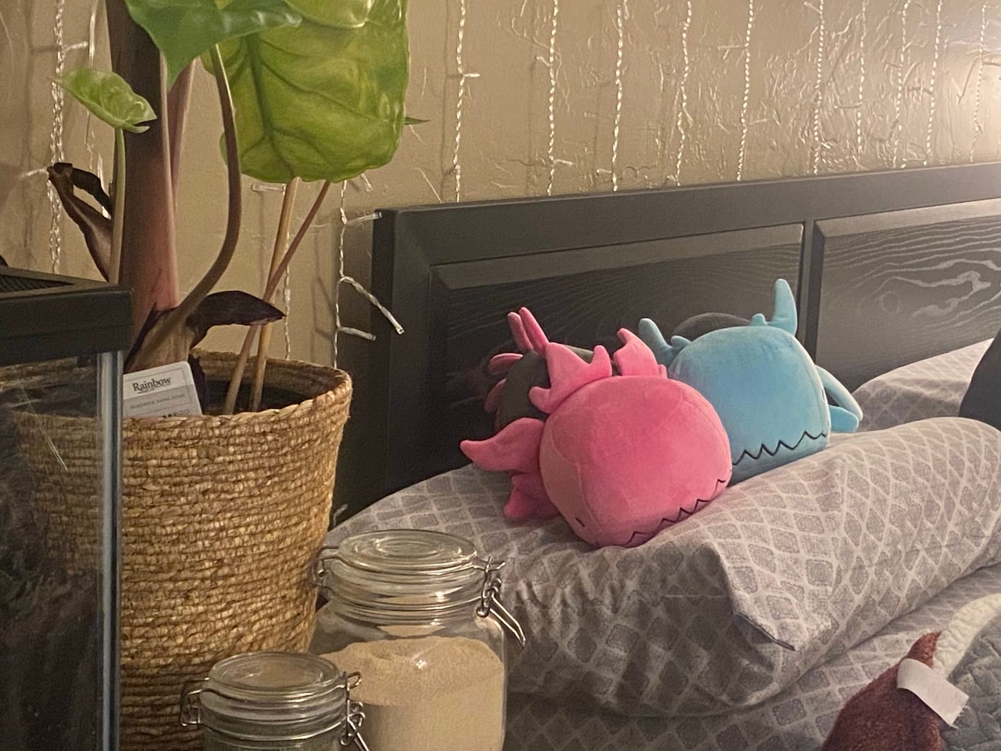 Customer photo review of Rain World - Glowing Pink Lizard Plush