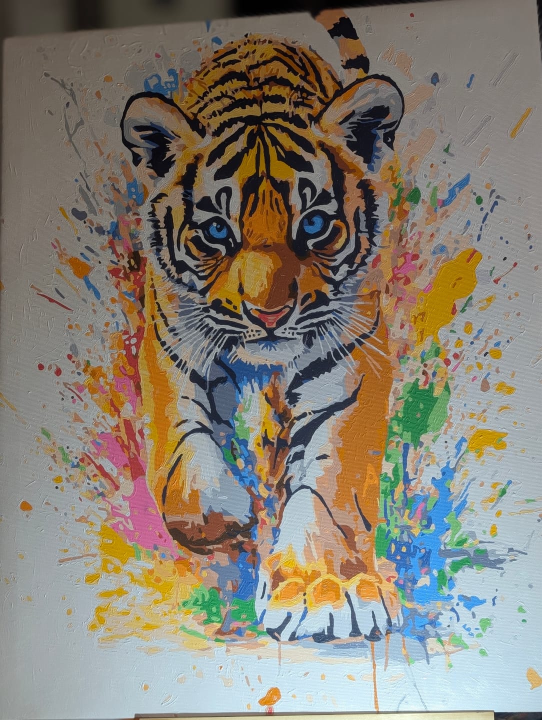 Customer photo review of Tiger Cub Splash