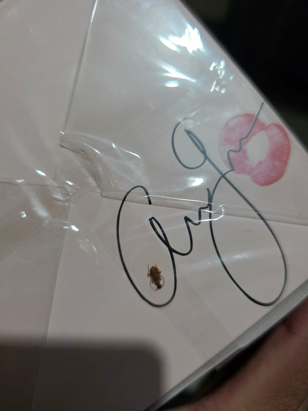 Customer photo review of Perfume Ariana Grande Sweet Like Candy 100ml EDP