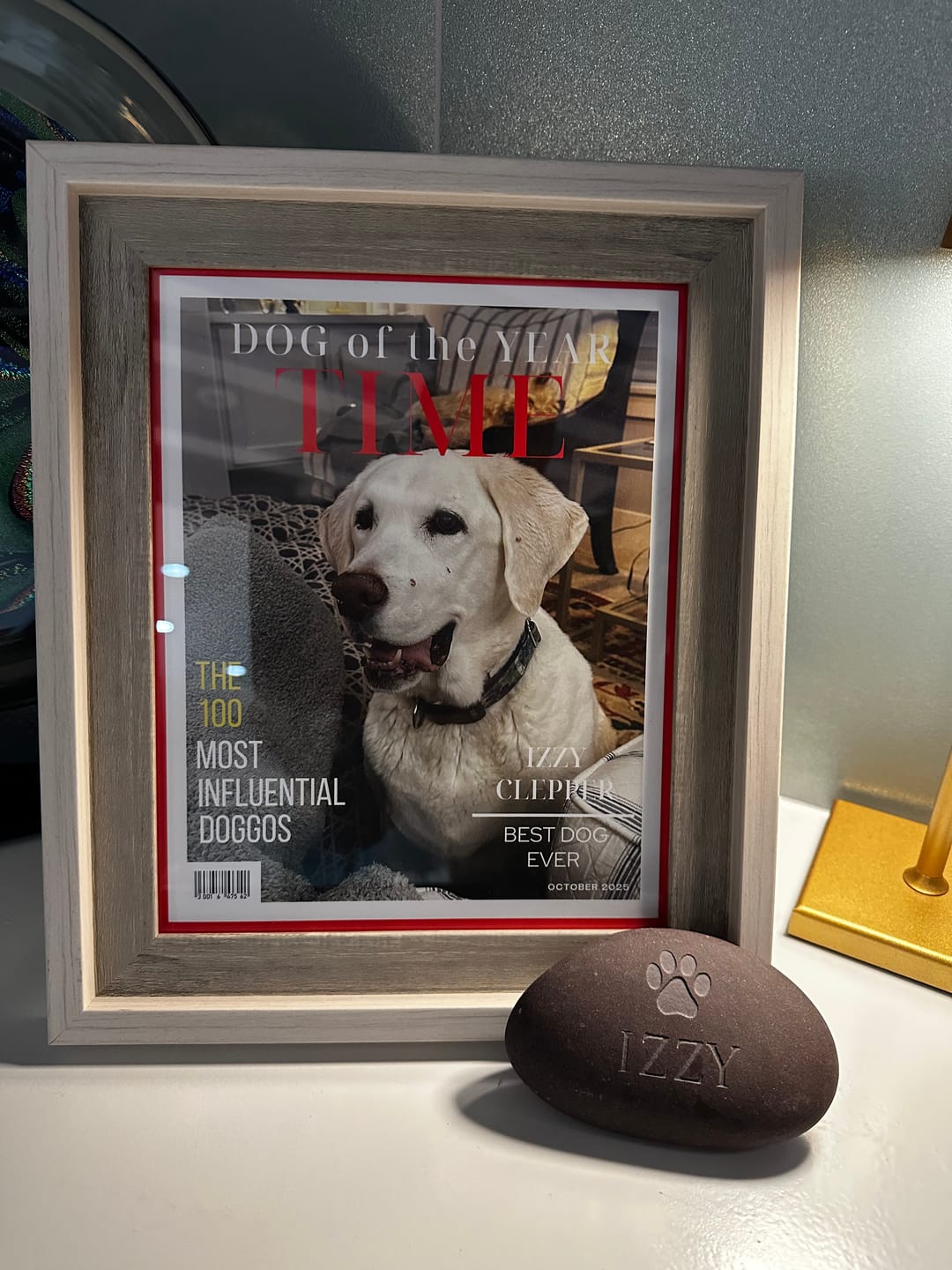 Customer photo review of Pet Portrait Magazine Cover