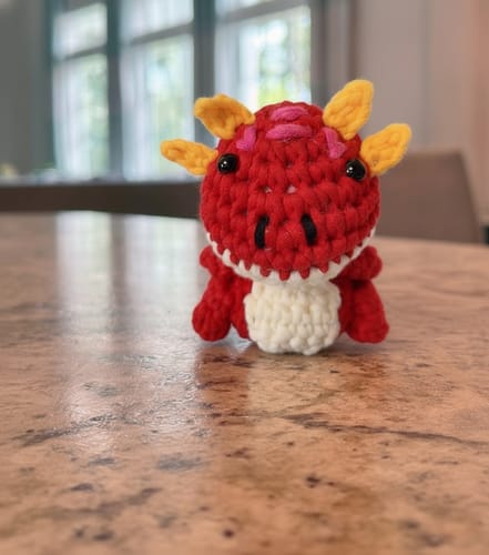 Customer photo review of Mini Crafts™ Learn-To-Crochet Kits