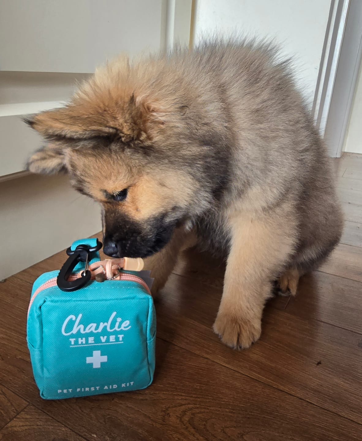 Customer photo review of Pet First Aid Kit