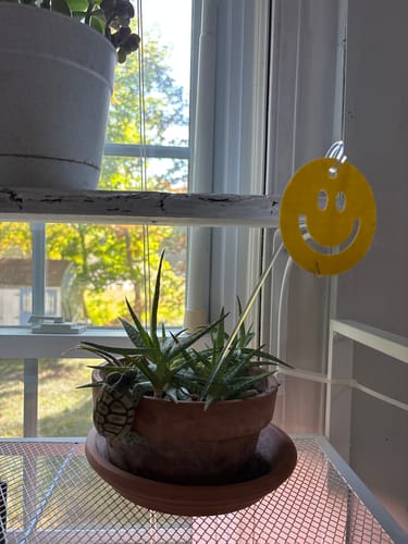 Kim S. review of Killer Smiles image 1 out of 1