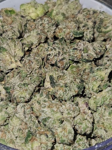 Customer photo review of Shipping Protection by Route