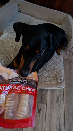 Customer photo review of 6 Inch Beef Trachea