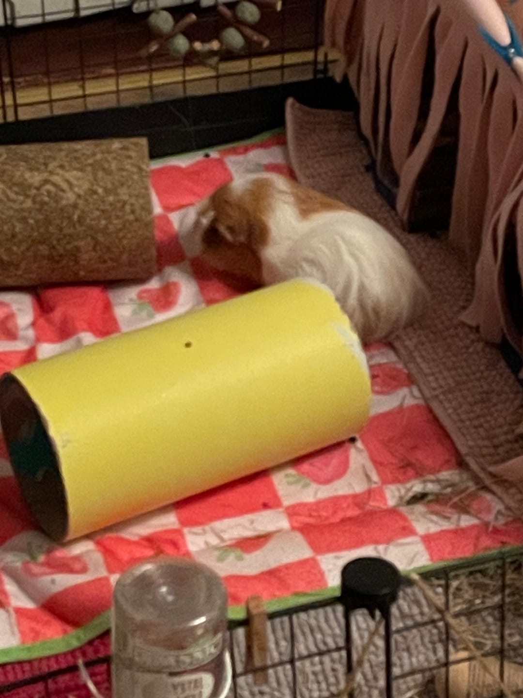 Customer photo review of Fleece Liners | Strawberry