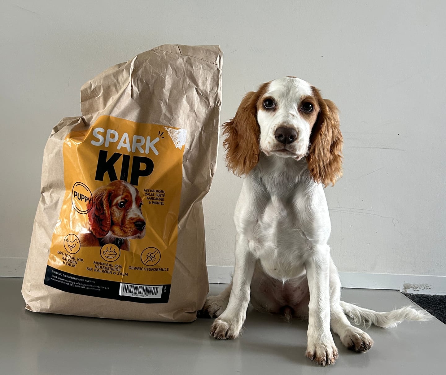 Customer photo review of Puppy - Kip met Kalkoen, Zalm, Zoete Aardappel & Wortel