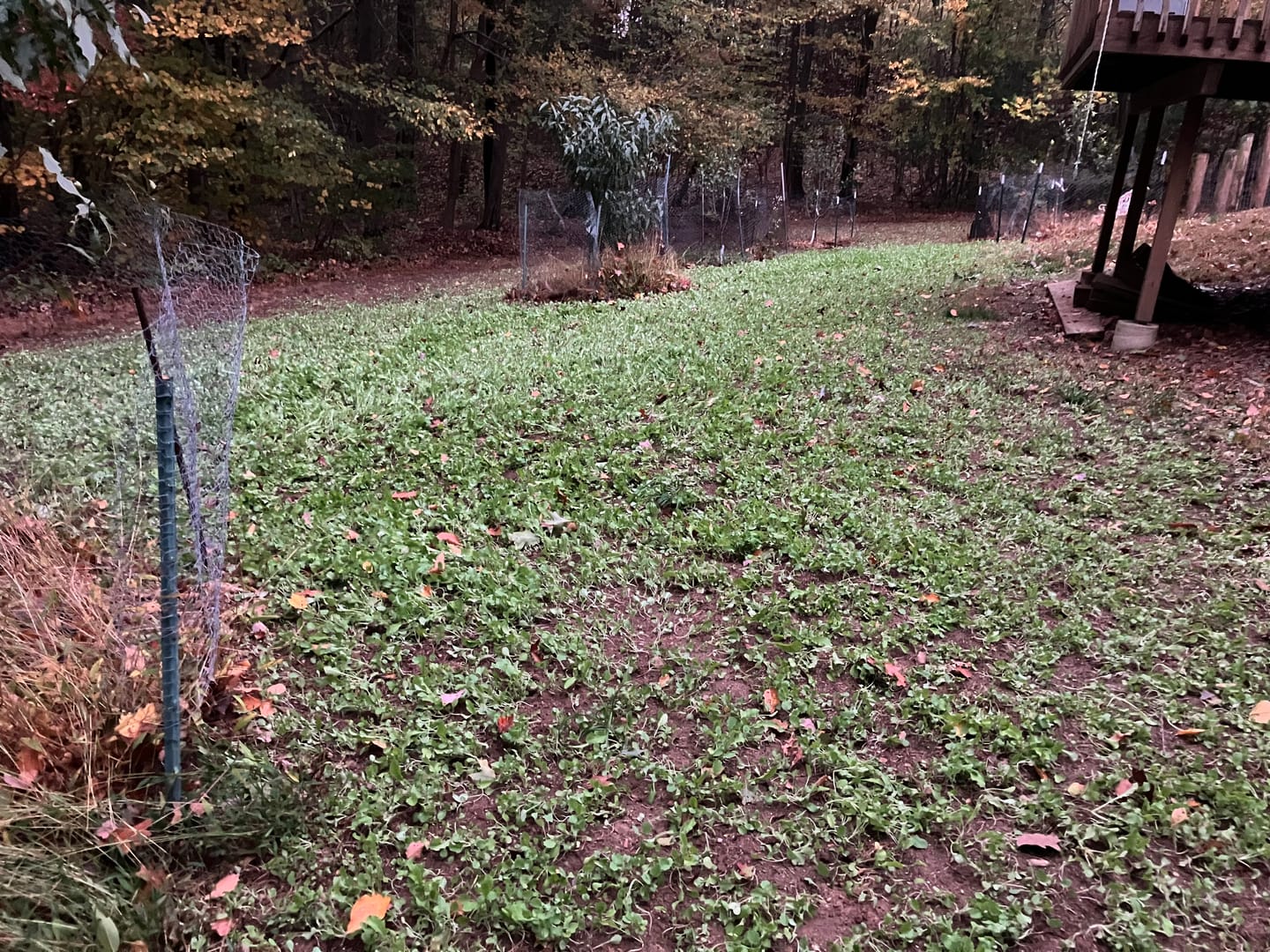 Customer photo review of Big Sexy™