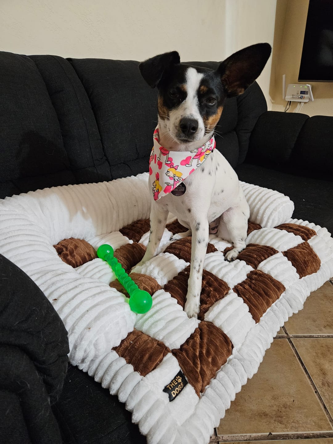 Customer photo review of Cubre Sofá Signature THE DOGS — Pelo y manchas bajo control