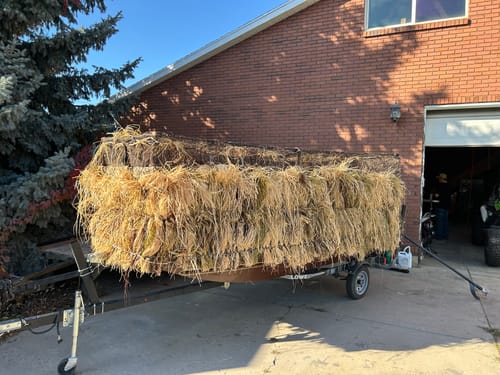 Customer photo review of Hunting Blind Raffia Grass (Pack)