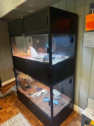 Customer photo review of 120 Gallon Bearded Dragon Enclosure 4x2x2