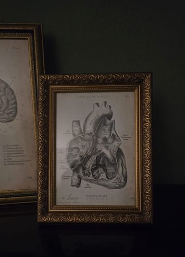 Customer photo review of Heart Section