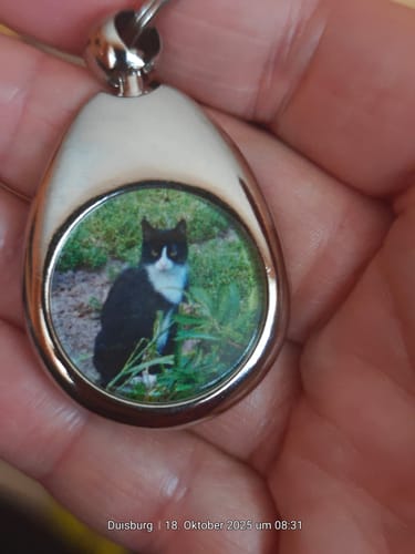 Customer photo review of Schlüsselanhänger mit Katzenfoto Angebot