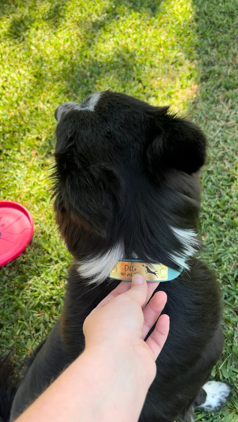 Customer photo review of Designer Rivet-On Tag