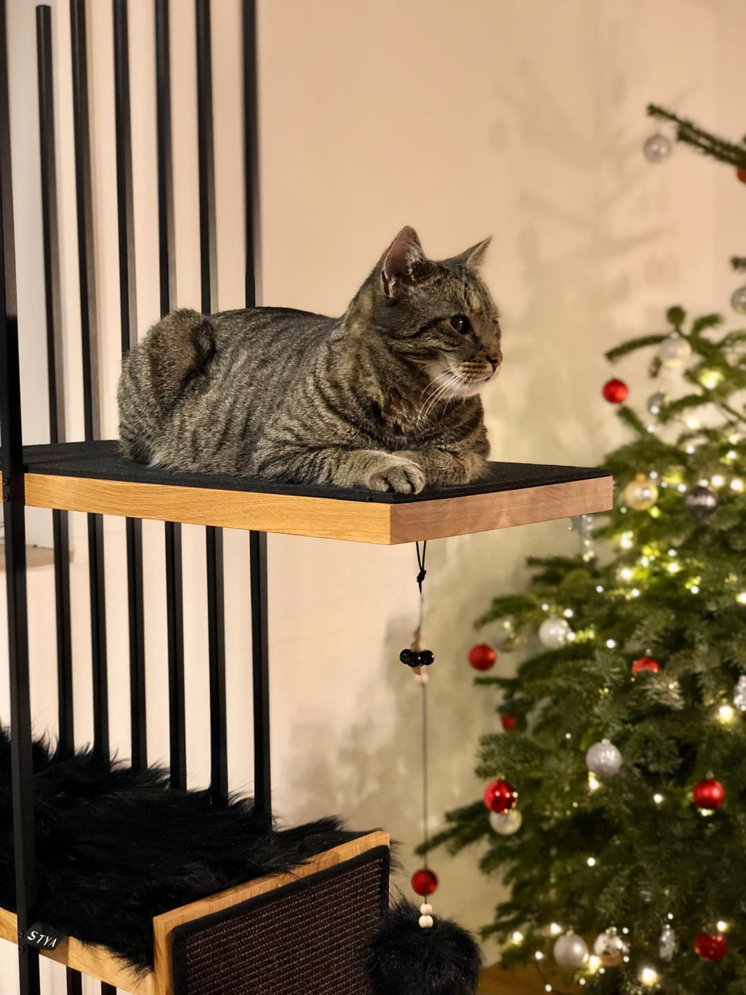 Customer photo review of STYA Katzen Kratzbaum MS220 | Schwarz