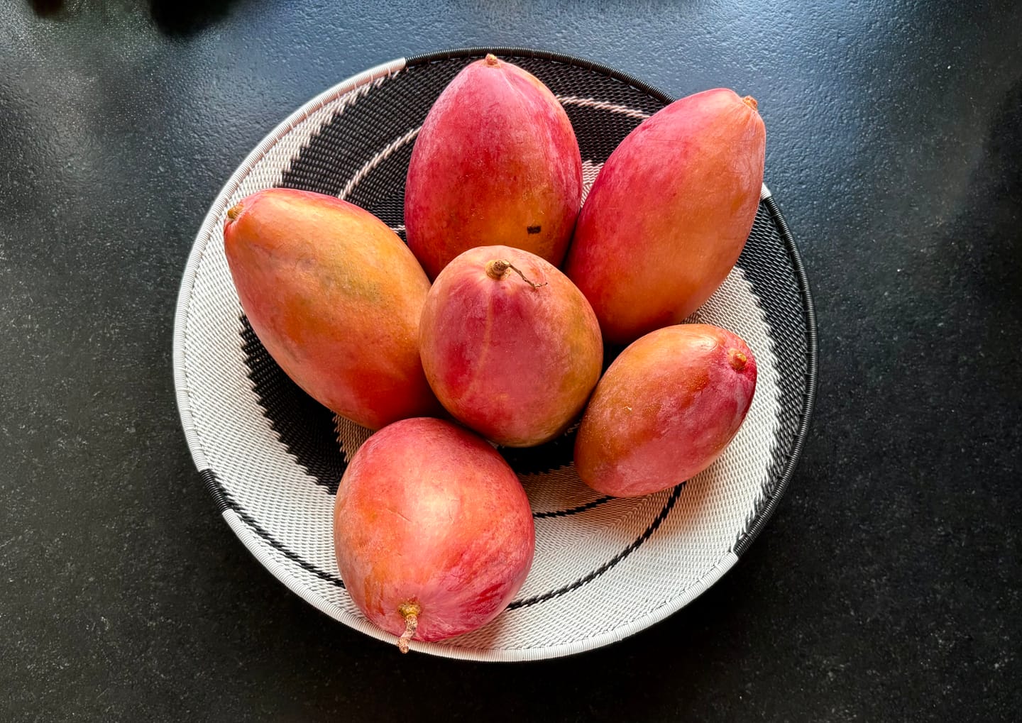 Customer photo review of Mango Osteen Bio von Julian Sonderaktion %