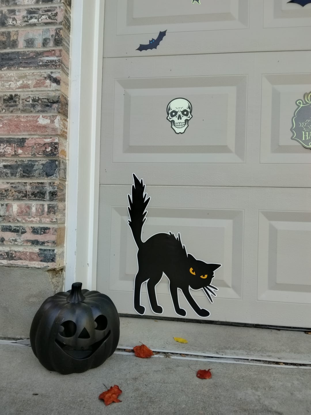 Customer photo review of Black Cat Scare Halloween Magnet