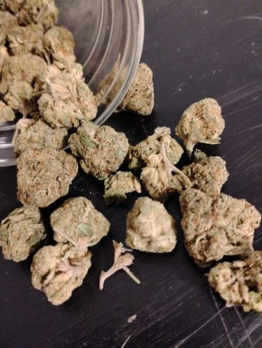 Customer photo review of High Society Mediums - Bulk Mediums - Hybrid