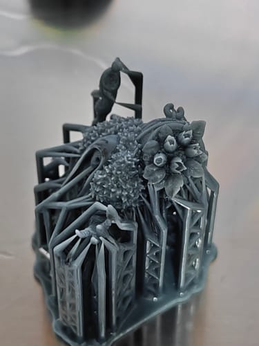 Customer photo review of Anycubic Photon Mono M7