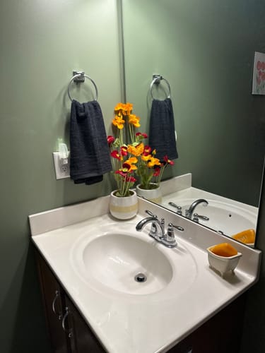 Customer photo review of Massive Clearance! Wholesale 23" Artificial Poppy Silk Flower Stems in Spray Style