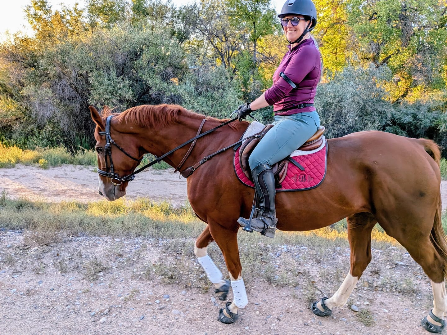 Customer photo review of Renegade® Viper Shield™ Hoof Boot Seconds - Black Knight